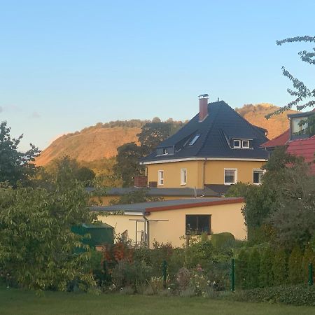 Ferienwohnung Bleicherode Exteriör bild