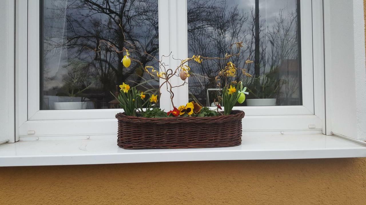 Ferienwohnung Bleicherode Exteriör bild